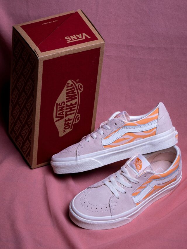 Vans SK8-Low VN0A5KXDBM0